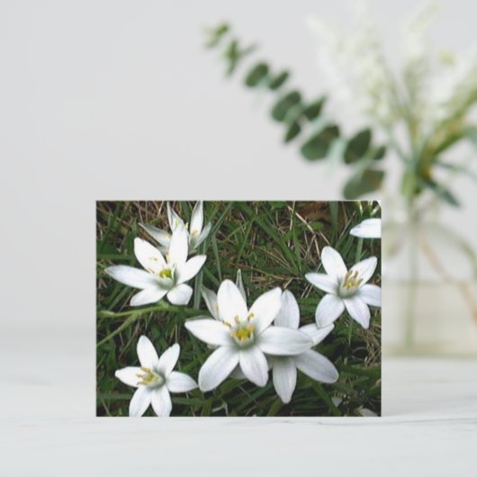  witte bloemen briefkaart (Staand voorkant)