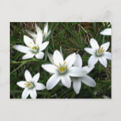  witte bloemen briefkaart (Voorkant)
