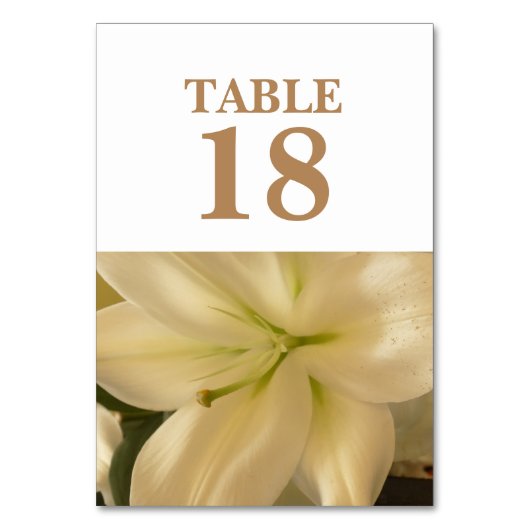 Witte Bloemen Bruiloft Tafel Kaarten (Achterkant)