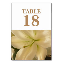 Witte Bloemen Bruiloft Tafel Kaarten