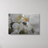 Witte bloemen canvas afdruk (Voorkant)