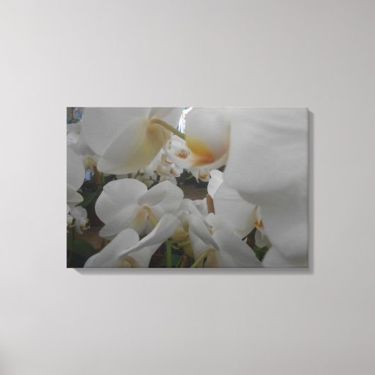 Witte bloemen canvas afdruk (Voorkant)