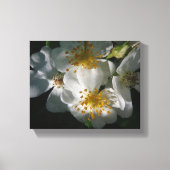 Witte bloemen canvas afdruk (Voorkant)