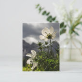 Witte bloemen en bergen briefkaart (Staand voorkant)