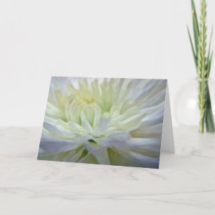 Witte Bloemen Feestdagen Kaart