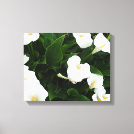 Witte Bloemen Fotoprint Canvas Afdruk