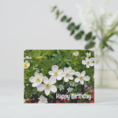 Witte bloemen Gefeliciteerd met je verjaardag. Ane Feestdagenkaart (Staand voorkant)