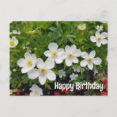 Witte bloemen Gefeliciteerd met je verjaardag. Ane Feestdagenkaart (Voorkant)