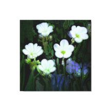 WITTE BLOEMEN GESTREKT CANVAS