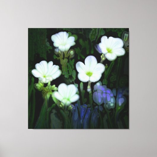 WITTE BLOEMEN GESTREKT CANVAS (Voorkant)