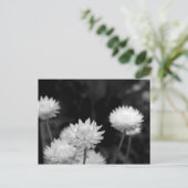 Witte bloemen in zwart-wit briefkaart (Staand voorkant)