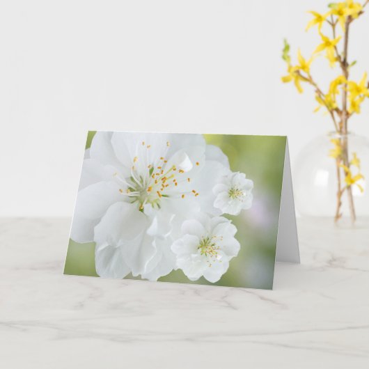 Witte bloemen kaart (Gele Bloem)