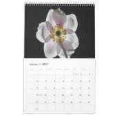 Witte Bloemen Kalender 2025 (Jan 2027)