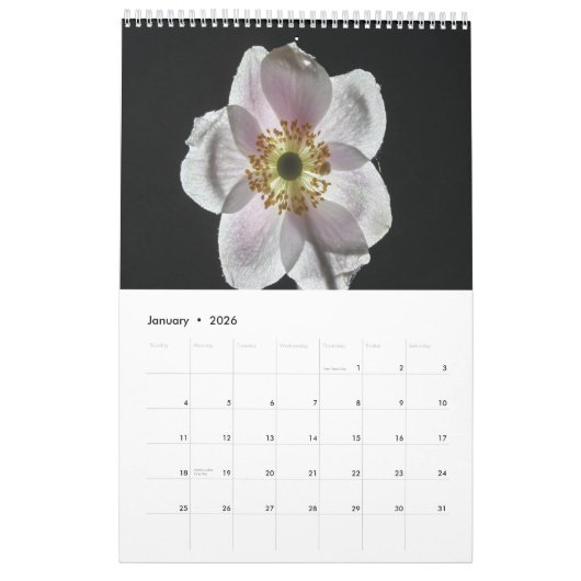 Witte Bloemen Kalender 2025 (Jan 2026)
