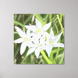 Witte Bloemen Knoflook Bloesem Digitale Kunst Canvas Afdruk