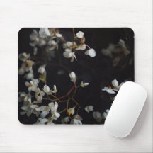 Witte bloemen met een melancholische sfeer op een 