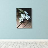 Witte bloemen op een bank canvas print (Insitu (Houten vloer))