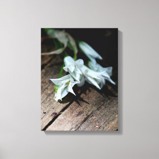 Witte bloemen op een bank canvas print