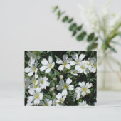 Witte bloemen op een heldere dag briefkaart (Staand voorkant)