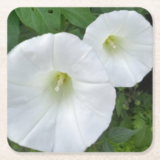 Witte Bloemen Papierverkoper Kartonnen Onderzetters