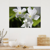 Witte bloemen poster (Keuken)
