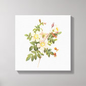  witte bloemen verpakt canvas print (Voorkant)