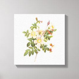 witte bloemen verpakt canvas print
