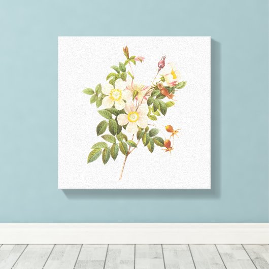  witte bloemen verpakt canvas print (Insitu (Houten vloer))