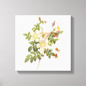  witte bloemen verpakt canvas print (Voorkant)