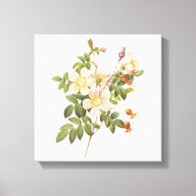  witte bloemen verpakt canvas print