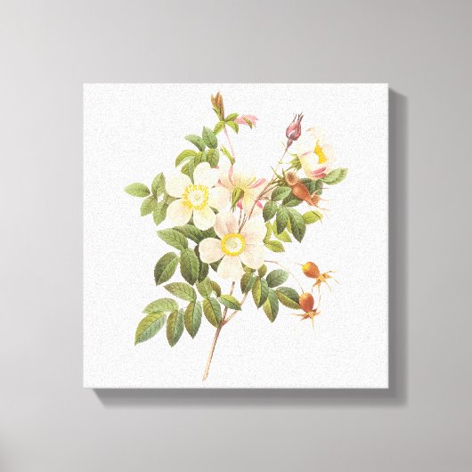  witte bloemen verpakt canvas print (Voorkant)