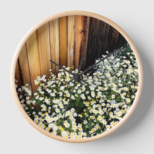 Witte bloemen & verweerde hek (houten rand) (Voorkant)