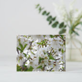 Witte bloemenfoto witte stromende boom briefkaart (Staand voorkant)