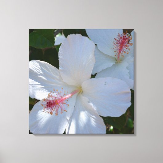 Witte bloemengeur gewikkelde canvas afdruk (Voorkant)