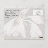 Witte Bloemige Dankjewel Briefkaart (Achterkant)