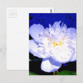 Witte bloemige paarse bloemige pioen foto briefkaart (Voorkant / Achterkant)