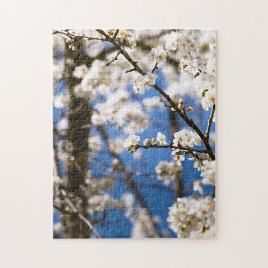 Witte bloesem blauwe lucht achtergrond legpuzzel (Verticaal)