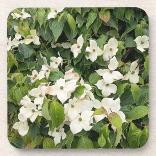 Witte Bloesem Botanische Worp Kussen drank coaster Bier Onderzetter