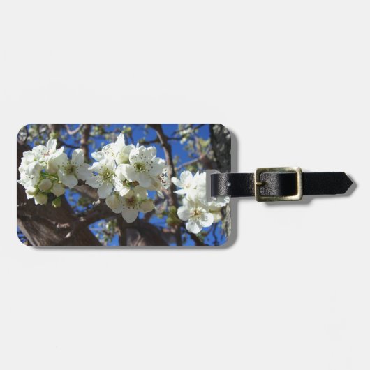 Witte bloesem Clusters Spring Flowering Pear Tree Bagagelabel (Voorkant horizontaal)
