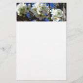 Witte bloesem Clusters Spring Flowering Pear Tree Briefpapier (Voorkant)