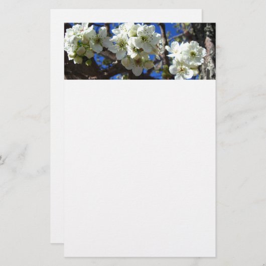 Witte bloesem Clusters Spring Flowering Pear Tree Briefpapier (Voorkant / Achterkant)