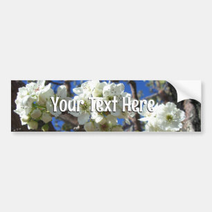 Witte bloesem Clusters Spring Flowering Pear Tree Bumpersticker