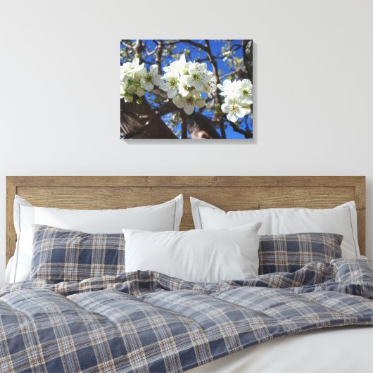 Witte bloesem Clusters Spring Flowering Pear Tree Canvas Afdruk (Insitu (Slaapkamer))