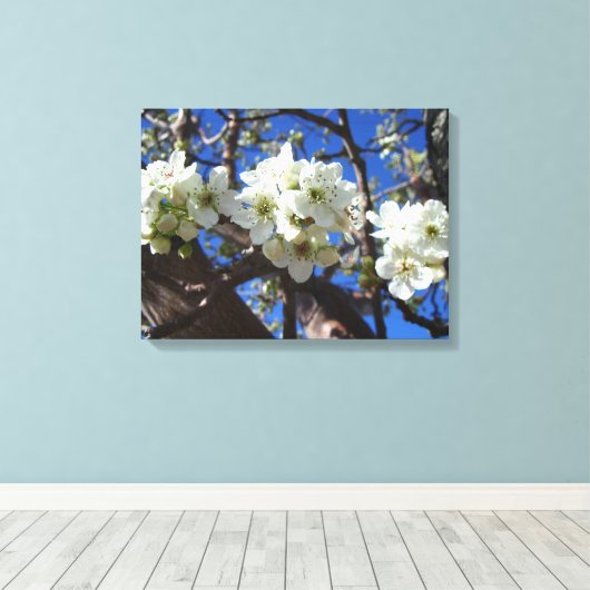 Witte bloesem Clusters Spring Flowering Pear Tree Canvas Afdruk (Insitu (Houten vloer))