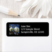 Witte bloesem Clusters Spring Flowering Pear Tree Etiket (Insitu)