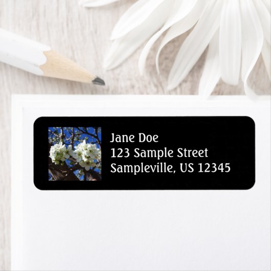 Witte bloesem Clusters Spring Flowering Pear Tree Etiket (Insitu)