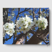 Witte bloesem Clusters Spring Flowering Pear Tree Gastenboek (Achterkant)