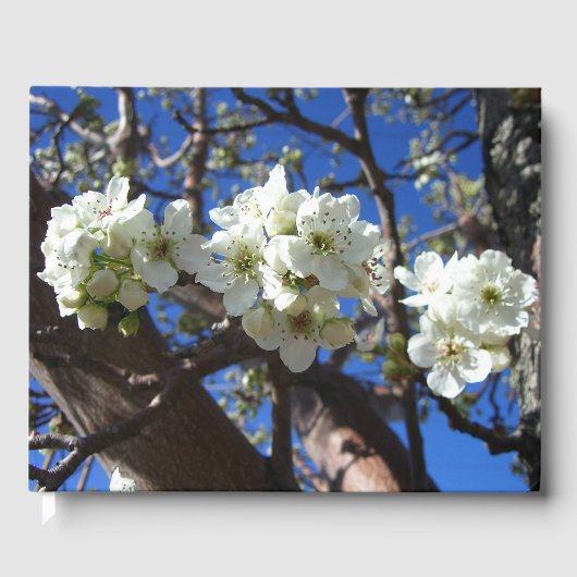 Witte bloesem Clusters Spring Flowering Pear Tree Gastenboek (Voorkant)