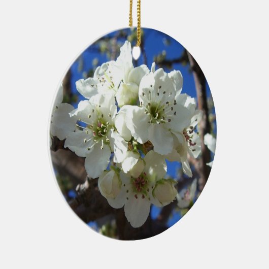 Witte bloesem Clusters Spring Flowering Pear Tree Keramisch Ornament (Rechts)