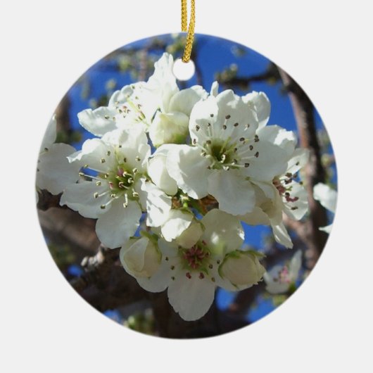 Witte bloesem Clusters Spring Flowering Pear Tree Keramisch Ornament (Voorkant)